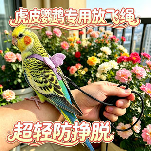 虎皮专用鹦鹉放飞绳外出神器牵引绳放飞遛溜鸟绳绳子背带式防飞绳