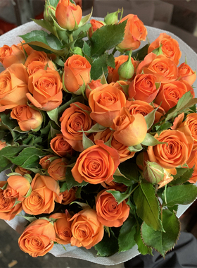 橙色芭比多头泡泡玫瑰花云南昆明基地鲜花速递同城百合花束情人节