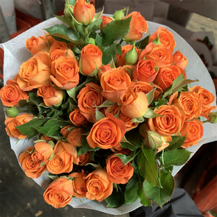 橙色芭比多头泡泡玫瑰花云南昆明基地鲜花速递同城百合花束情人节