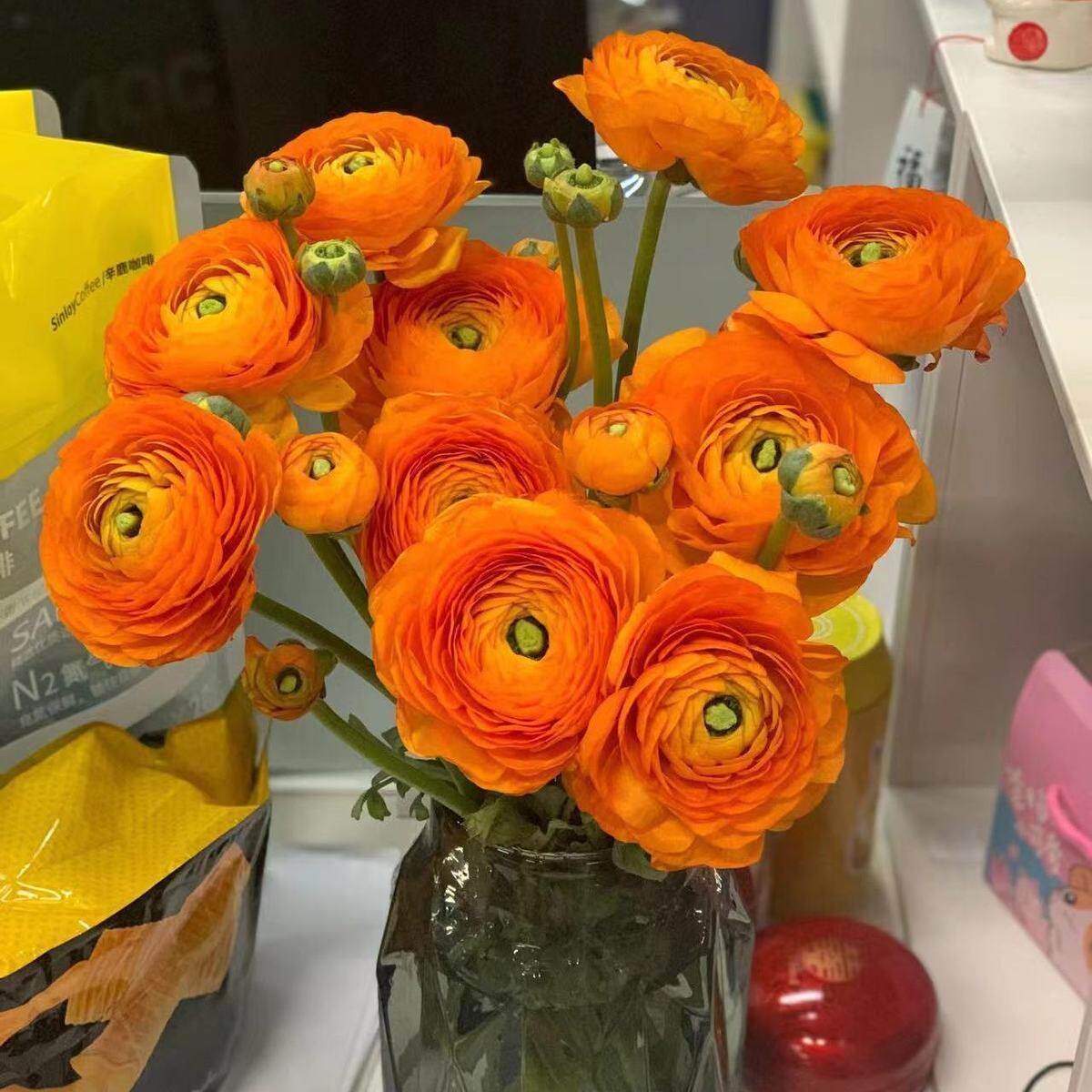 橙色洋牡丹水养鲜切花玫瑰百合云南基地直发花束年宵花包邮新鲜发,鲜花速递/花卉仿真/绿植园艺,花材,淘宝优惠券,粉丝福利购,淘宝优惠卷