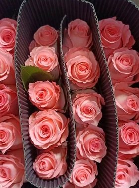 戴安娜玫瑰花云南昆明斗南基地直发水养百合鲜切花七夕情人节花束