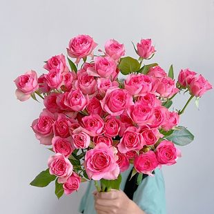 苏菲宝贝多头泡泡玫瑰花云南昆明基地鲜花速递同城百合花束情人节