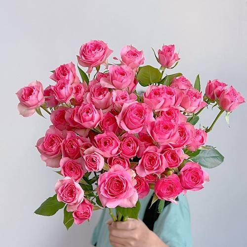 苏菲宝贝多头泡泡玫瑰花云南昆明基地鲜花速递同城百合花束情人节