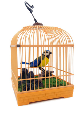 【声控小鸟总汇】西骑士仿真鸟笼儿童玩具感应电动新奇特趣味创意