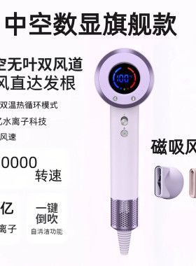 新品无刷吹风机发廊理发店家用负离子护发静音速干大风力电吹风筒