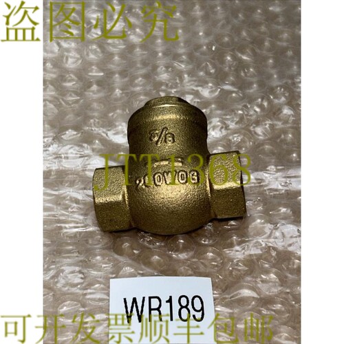 原装供应RWV 3/8 英寸活塞阀 IPS 螺纹摆动止回，200 WOG +