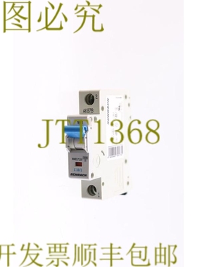 原装供应SCHRACK BM017110 C 10/1 C10