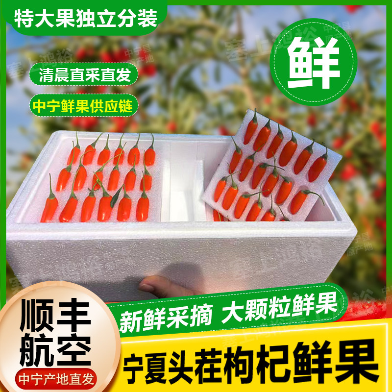 26大粒头茬枸杞鲜果新鲜现摘即食枸杞子宁夏中宁水果枸杞礼盒500g