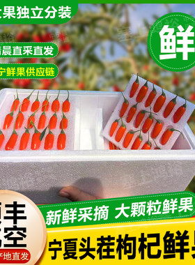 26大粒头茬枸杞鲜果新鲜现摘即食枸杞子宁夏中宁水果枸杞礼盒500g