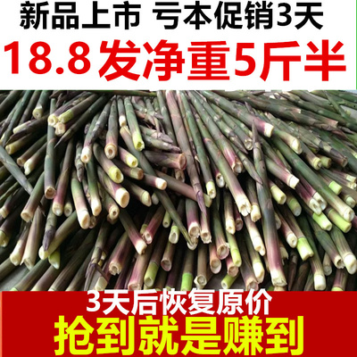 江西抚州野生新鲜带壳小竹笋