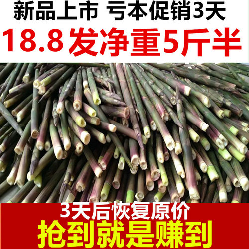 江西抚州野生新鲜带壳小竹笋