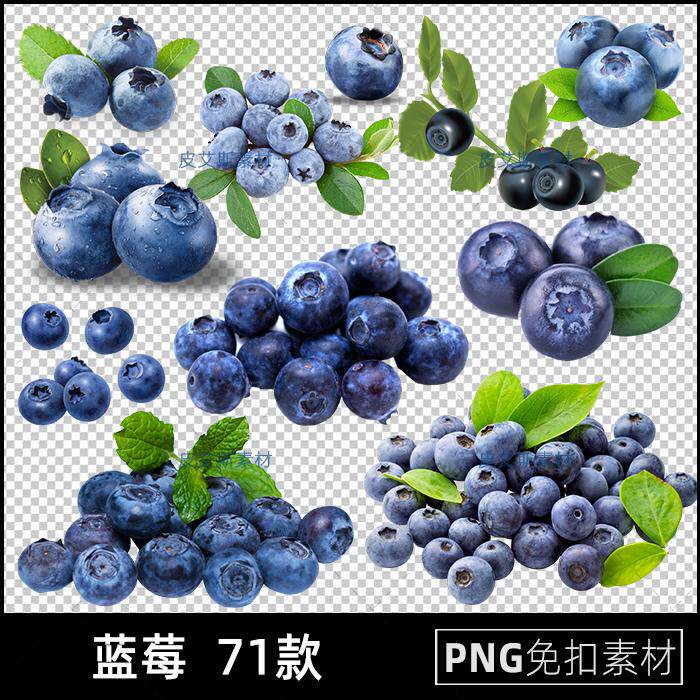 蓝莓png免扣图水果透明背景免抠PS设计素材