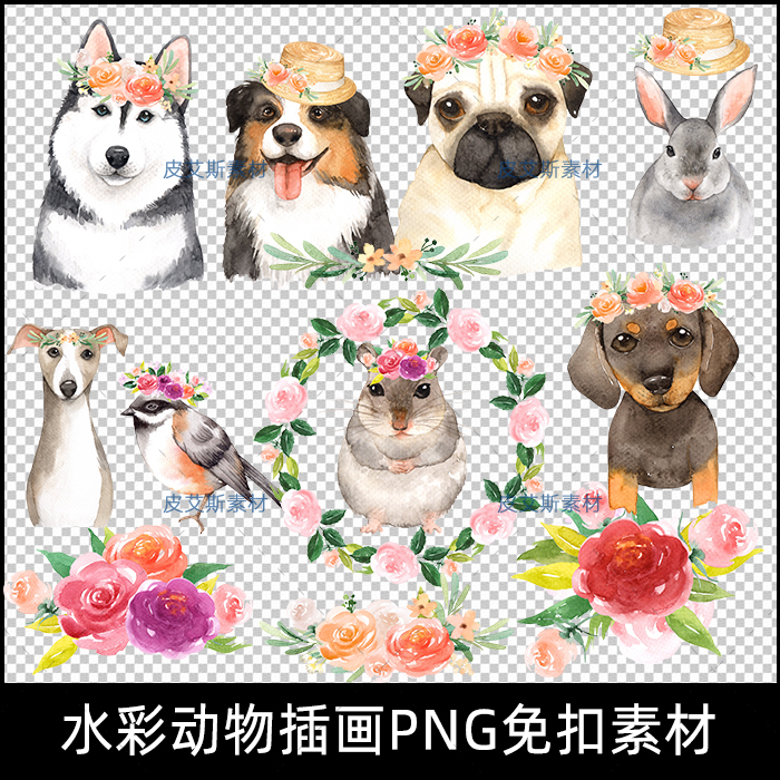 手绘水彩动物宠物狗PNG免抠金毛花环插画卡片装饰图案PS设计素材