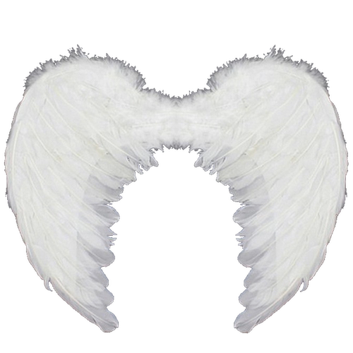 依依小天使 婚庆翅膀花童天使翅膀天使装扮儿童天使道具白色翅膀