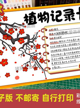 植物记录卡手抄报梅花名片 观察自然笔记我的植物电子线稿模板519