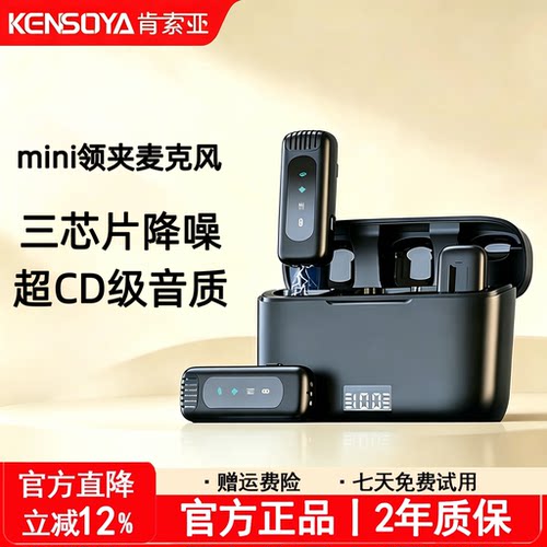 肯索亚降噪无线麦克风