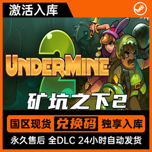 激活碼 全DLC steam正版 包更新 全球區(qū) 游戲入庫 礦坑之下2