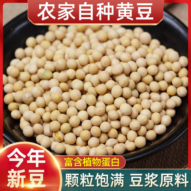 老品种黄豆打豆浆专用非转基因