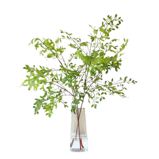 仿真南天竹假绿植树枝客厅商场装饰造景落地摆件拍摄道具假花摆设