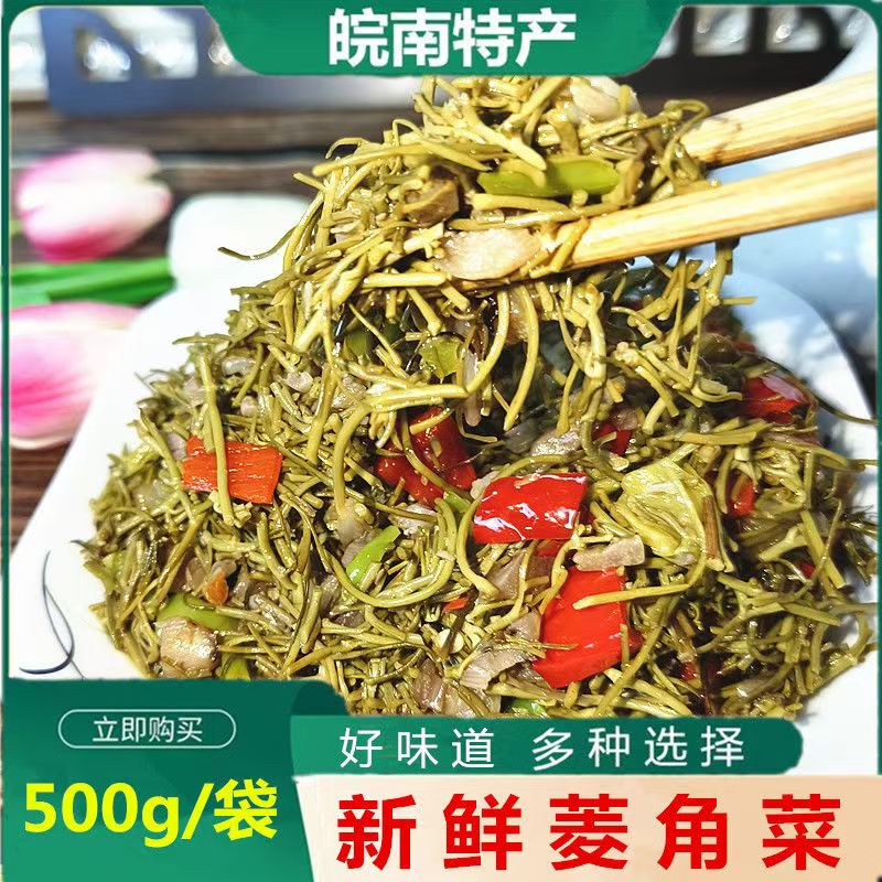 安徽特产菱角菜采摘水生植物新鲜