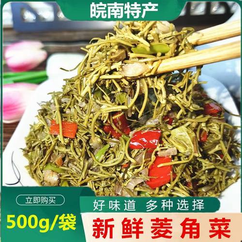 安徽特产菱角菜采摘水生植物新鲜