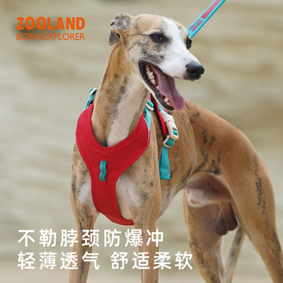 ZOOLAND狗狗胸背牵引绳小中大型犬遛狗工字型不勒脖专用宠物链子