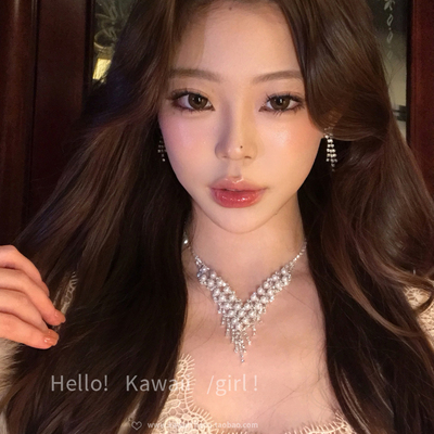 法式珍珠水钻流苏项链套装轻奢宫廷风耳环贵气感晚宴礼服配饰耳饰