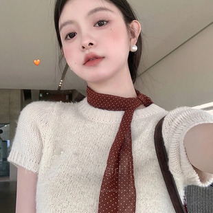 高级感薄款 丝带设计感长条丝带 复古美拉德焦糖色波点丝巾法式 春季