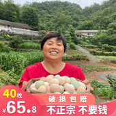 正宗土鸡蛋农家散养新鲜五谷虫草鸡蛋柴鸡蛋笨鸡蛋新鲜初生蛋40枚