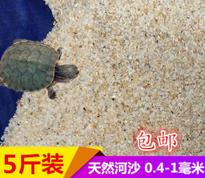 乌龟冬眠沙鱼缸底砂草龟鳄龟巴西龟孵化产蛋冬眠下蛋专用细沙沙子