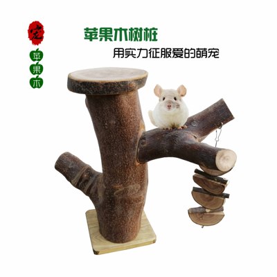 烘干苹果木宠物龙猫松鼠粗壮树桩