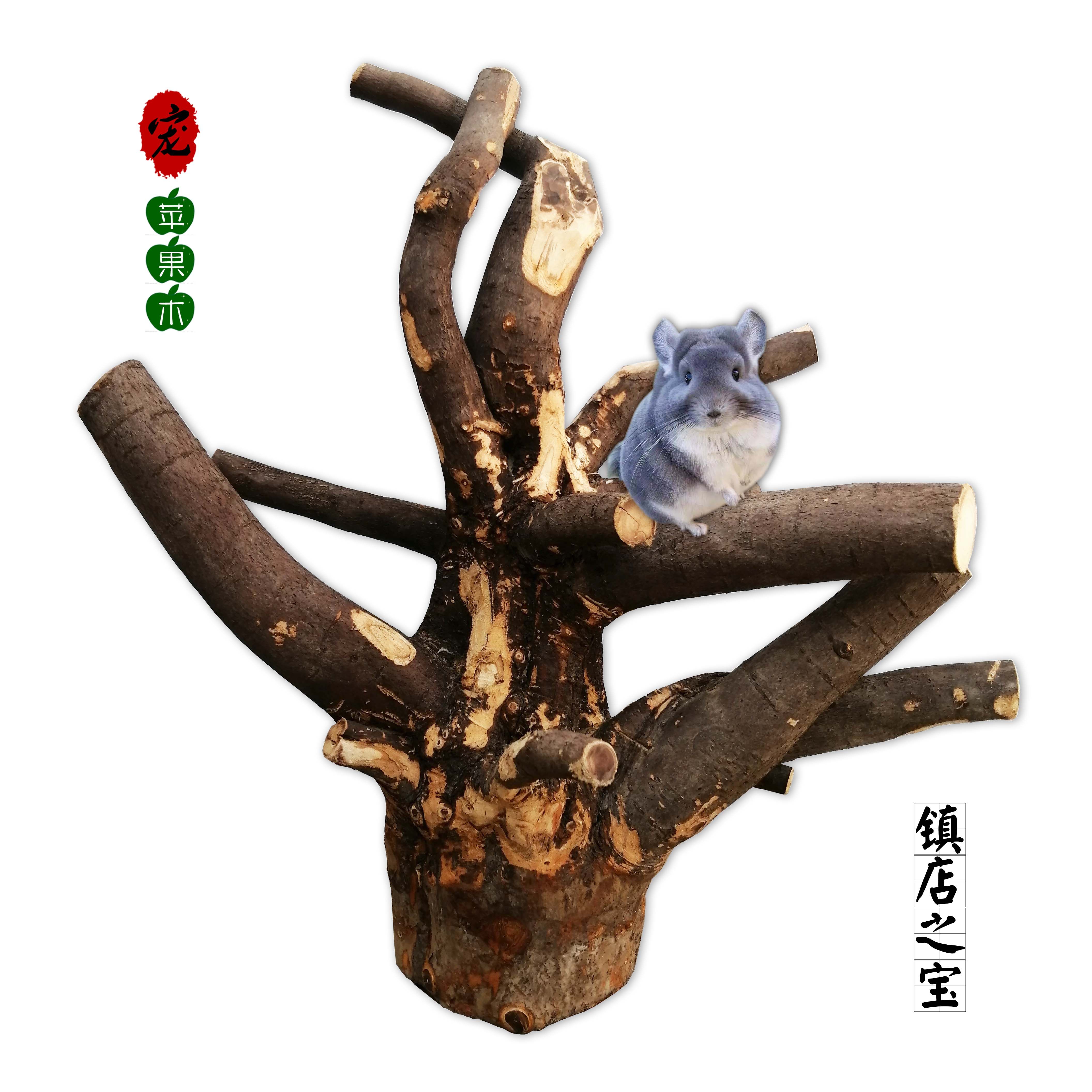 镇店之宝苹果木树根支杈多密宠物专用龙猫松鼠密袋鼠攀爬布置造景