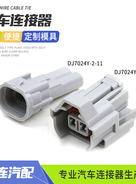 DJ7024Y-2-11汽车喷油嘴插头甲醇改装2p接插件配端子DJ7024Y-2-21