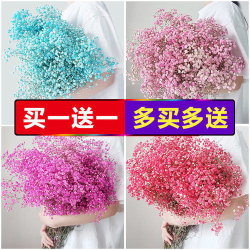 满天星花束干花真花装饰摆件散装