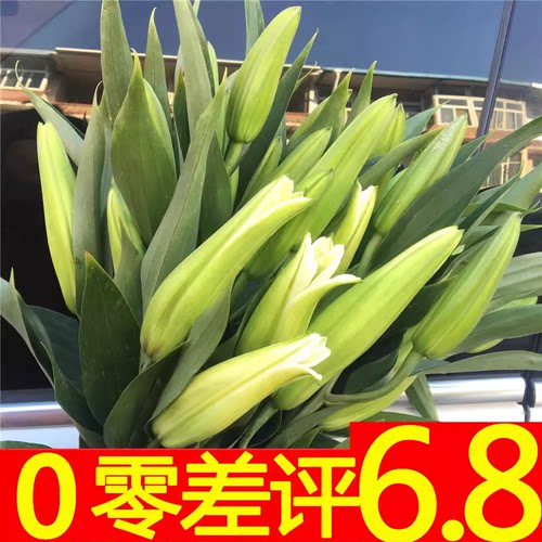 香水百合云南昆明基地现采直发真花鲜花水养插花家用办公同城速运
