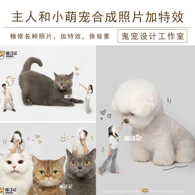 修图可爱萌宠合成照加特效换背景平面广告设计