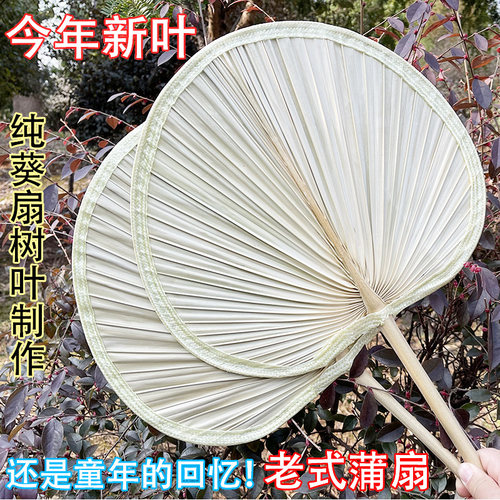 纯手工老式蒲扇芭蕉扇