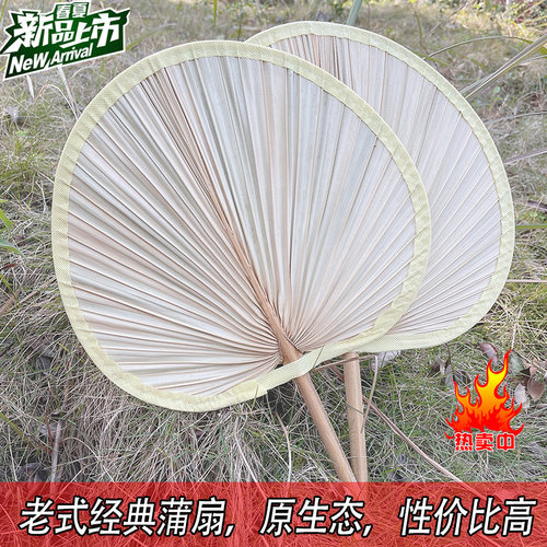 大蒲扇纯手工粽叶蒲草葵扇