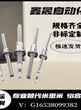 滚珠丝杆C-TBSE TBSB0802 1002 1505 1516 1520 2005 2010 3210