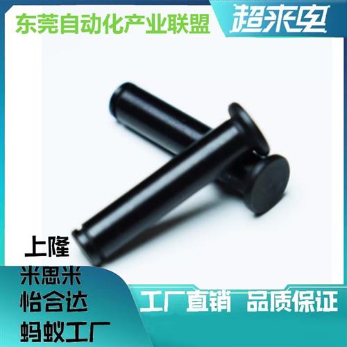 带肩铰链销 MIC01-D6 D8 D10 D12-L24 L25 L30 L35 L40 L45 L50