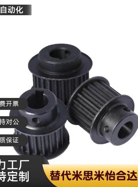 同步带轮ATPA10-L050/L075/L100-A/B-N/P/H10 ATPA16L100-B-N20