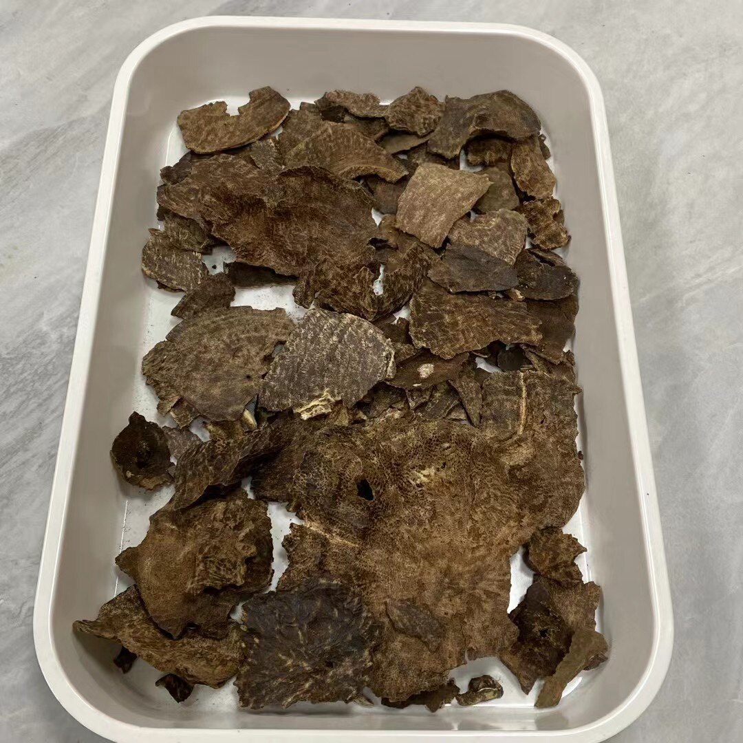 海南沉香百年老包头 结香时间久远  表面黑油 油脂饱满 重139克