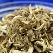 金丝白奇楠勾丝 熏香上炉凉味棋韵十足 高‮质品‬奇楠香气醇厚