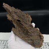 柬埔寨沉香厚肉包头 奶香清醇生闻明显 钻甜蜜香 八分沉 浓郁爆香