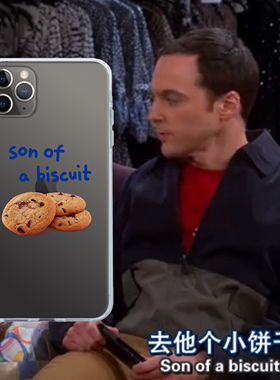 原创去ta个小饼干 创意生活大爆炸手机壳 适用于iPhone15pro