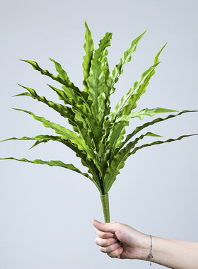蕨类植物鸟巢叶仿真绿植软胶高档造景叶材家居装饰材料仿真草摆件