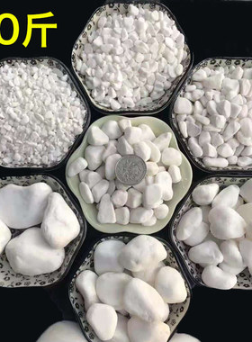 白石子鹅卵石造景白色石头子鹅软石鱼缸装饰小石子庭院铺地小碎石