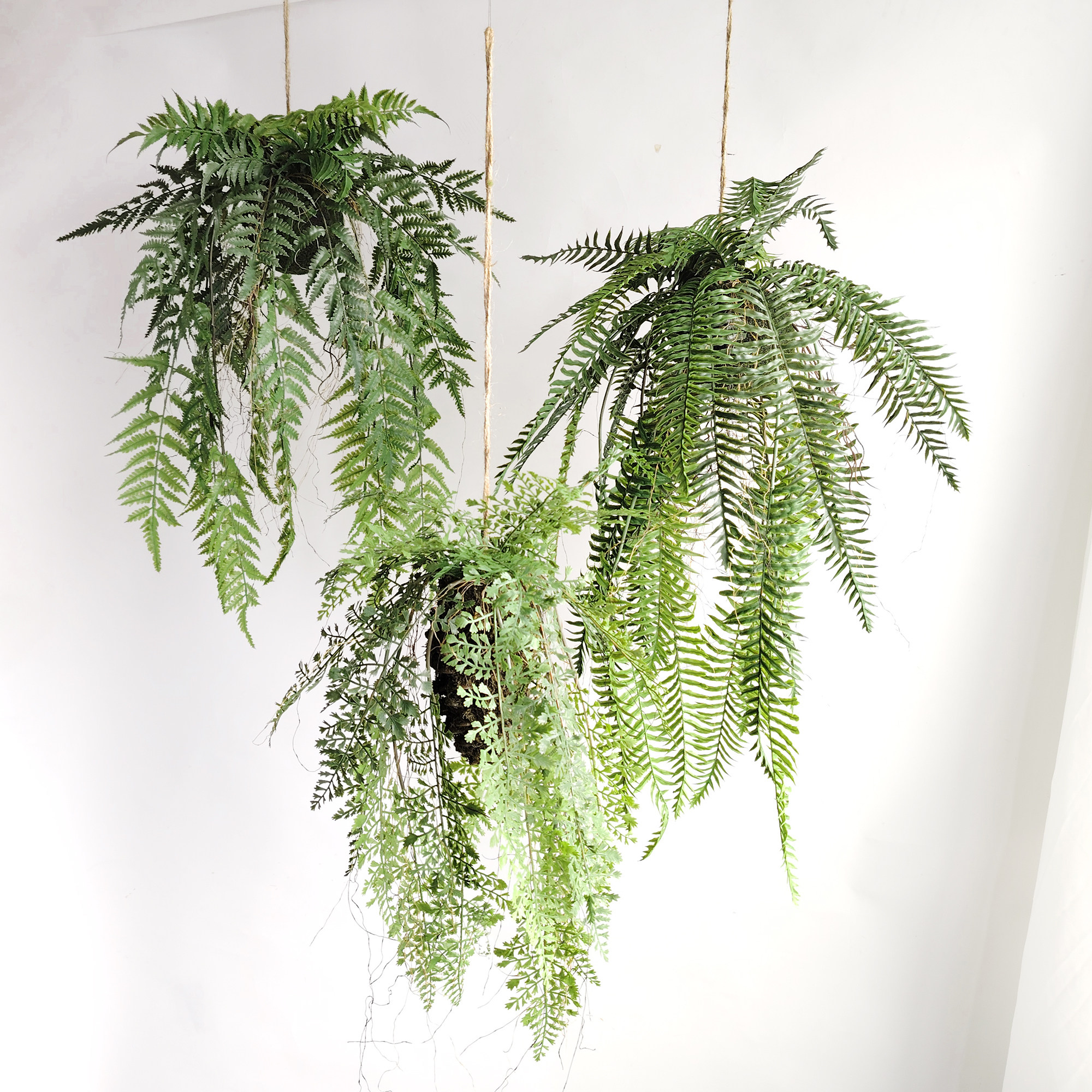 植物空气餐厅吊装花艺柜顶装饰图片