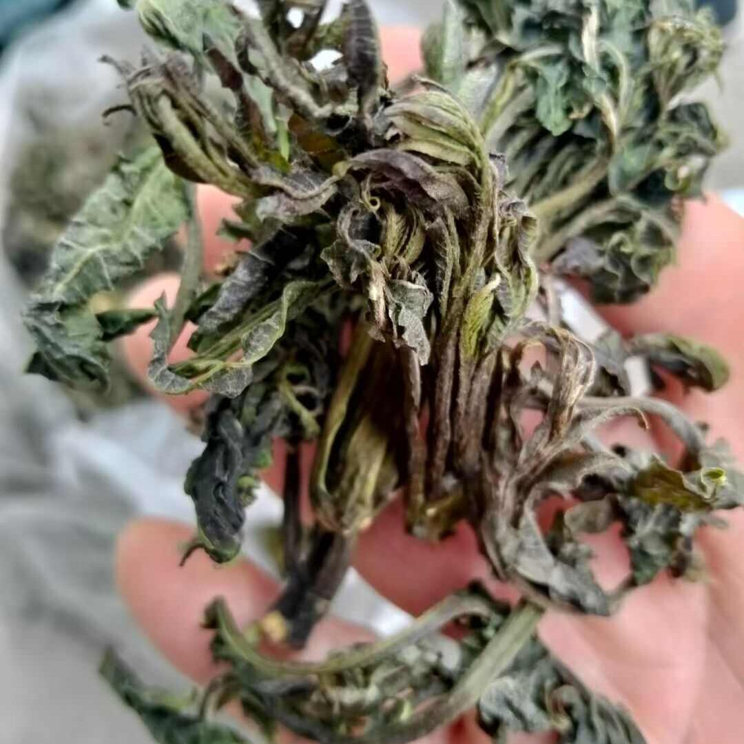 干香椿500g2026年农家自晒头茬嫩香椿叶湖北特产野生干货