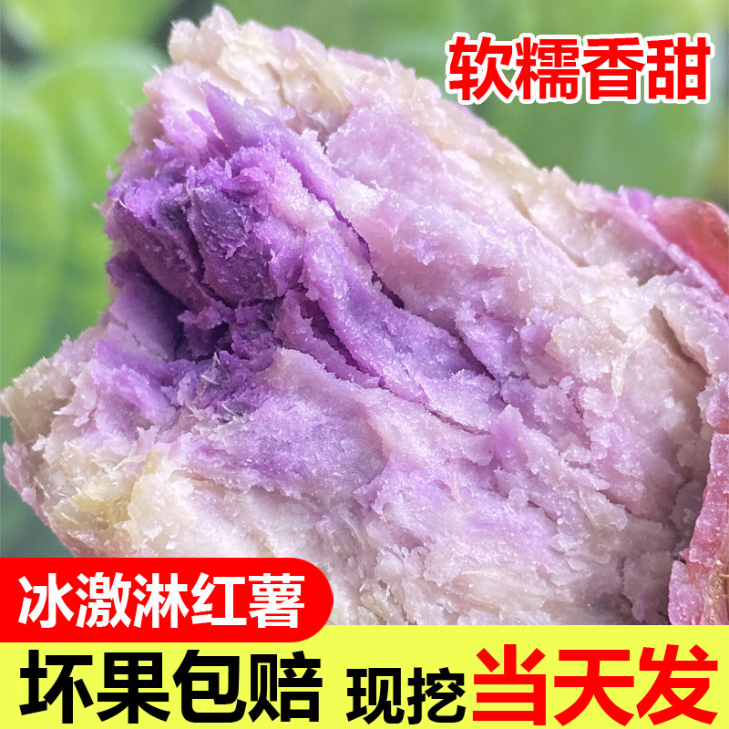 沙地种植高州板栗红薯富硒地瓜新鲜现挖冰淇淋红薯紫心一点红番薯